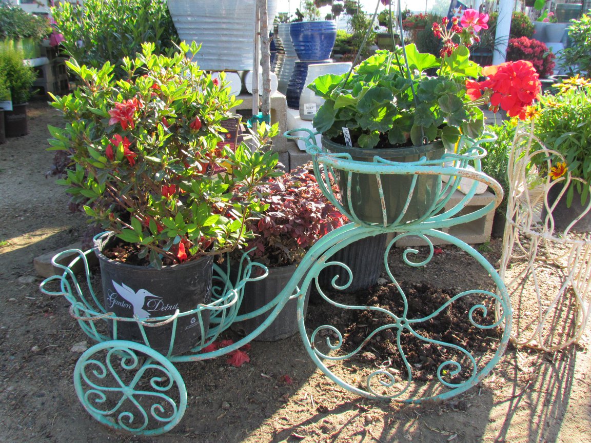 Beautiful Tricycles to display your plants.