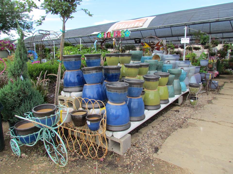 blue-pots