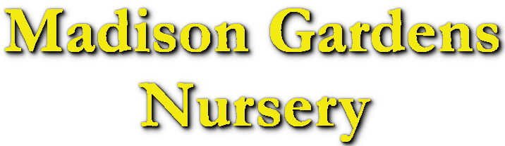 See our Garden Center at Madison Gardens Nursery!