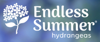 Endless Summer Hydrangeas at Madison Gardens Nursery, Spring, TX