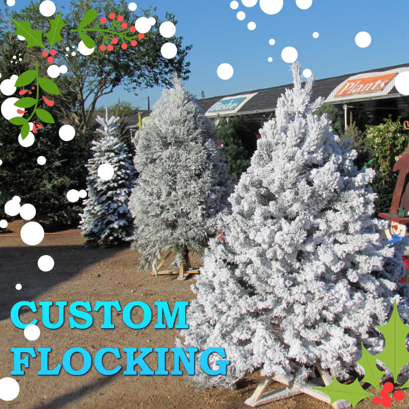 Custom flocked Christmas Trees Madison Gardens Nursery, Spring, TX