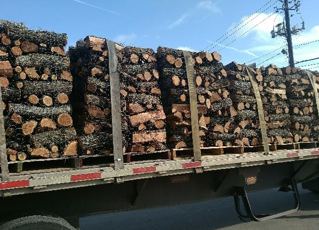 Firewood at Madison Gardens Nursery, Spring, TX