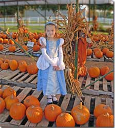Pumpkins at Madison Gardens Nursery, Spring, TX