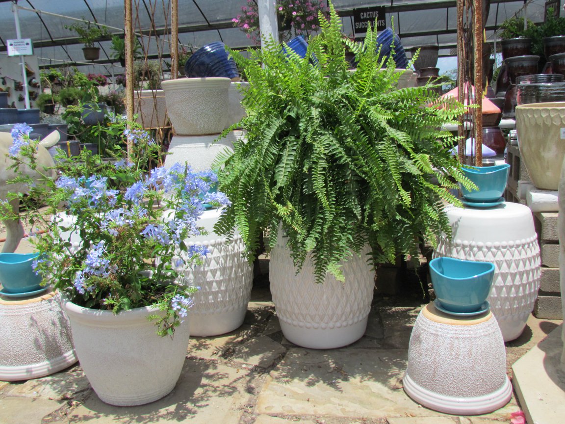Outdoor Pottery at Madison Gardens Nursery, Spring, TX